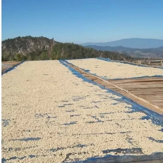 เมล็ดกาแฟคั่ว Espresso Blend(สูตร1) อราบิก้าเชียงราย50%+โรบัสต้าชุมพร50% หอมเข้มข้นลงตัว