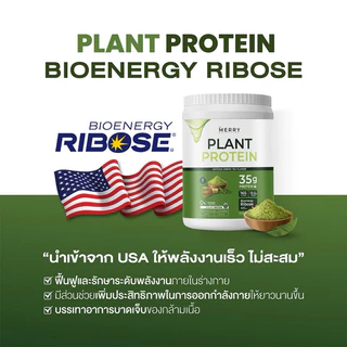 Merry Plant Proteinโปรตีนพืช 5 ชนิด รสMatcha Green Tea Flavor 1 กระปุก 2.3lb. / 1,050g [20 Servings]