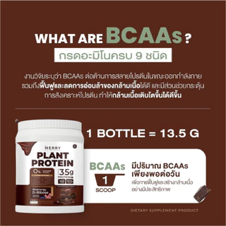 [ Plant 1 กระปุก ] Merry Plant Protein โปรตีนพืช 5 ชนิด : รส Chocolate 1กระปุก1,050g [ 20 Servings ]