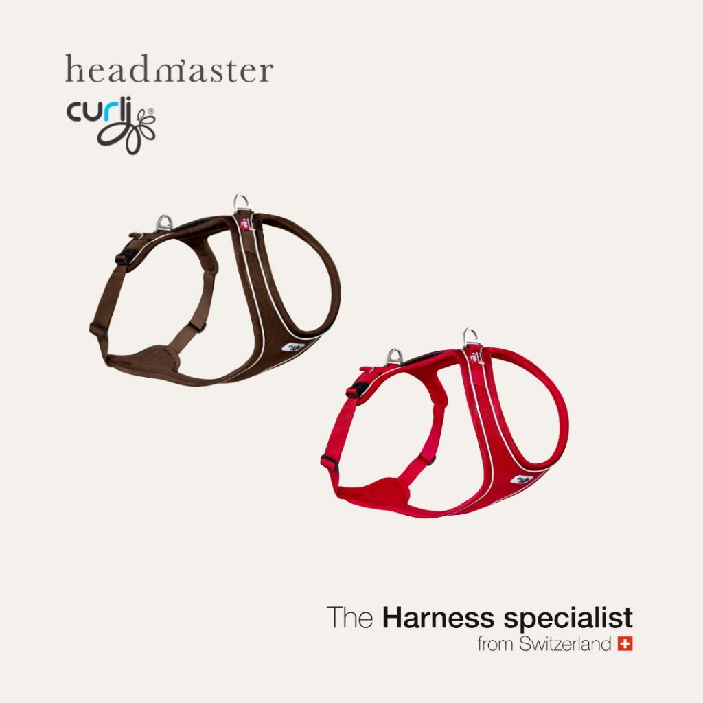 curli Belka Comfort Harness สายรัดอก สายจูง สำหรับสุนัขขนาดใหญ่
