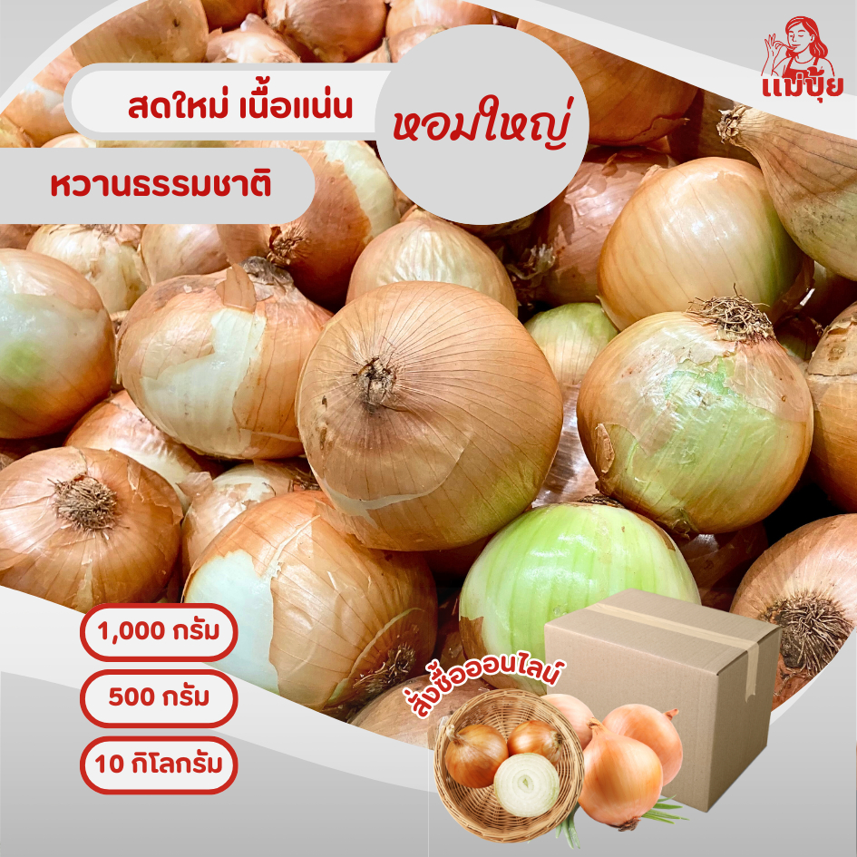 หอมใหญ่ (Onion) คัดสรรคุณภาพ #แม่ปุ้ย
