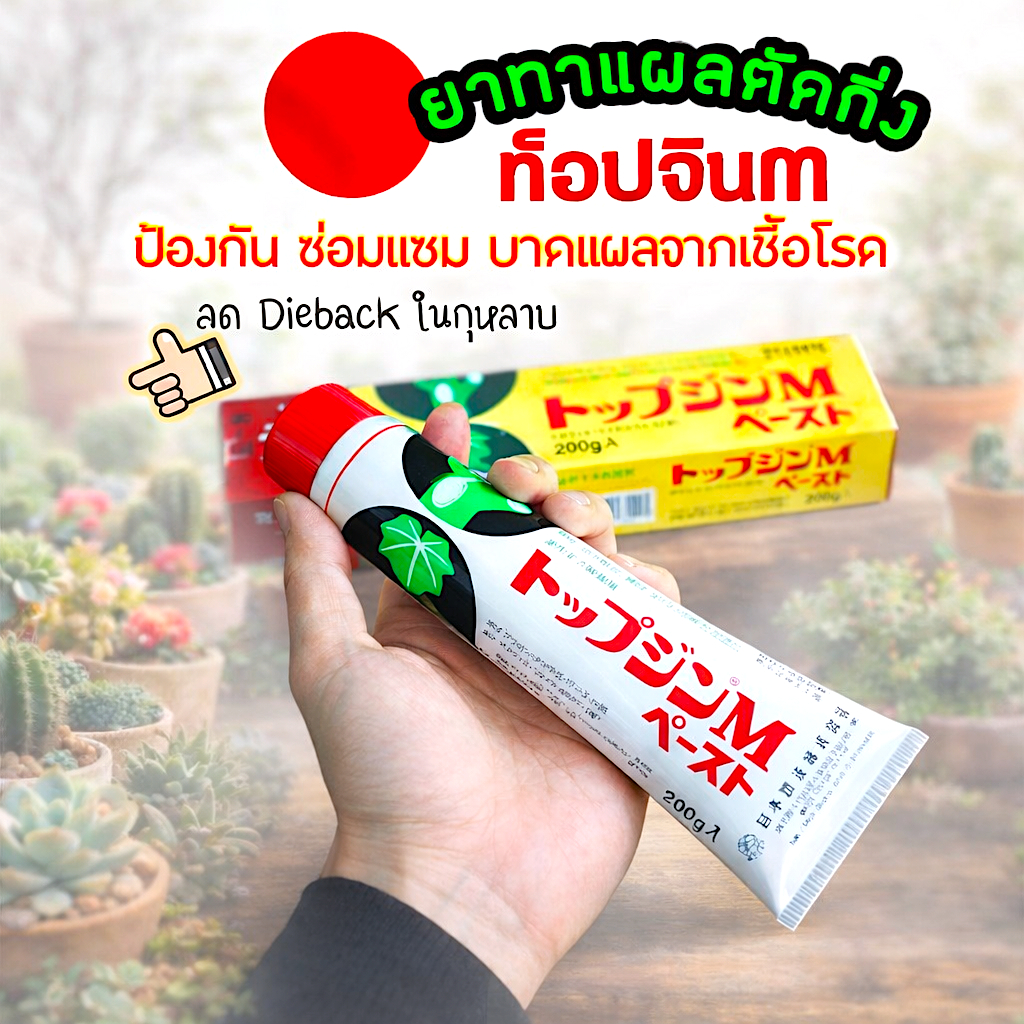 ยาทาแผลตัดกิ่ง TopJin M ญี่ปุ่น ป้องกันเชื้อรา แบคทีเรีย สมานแผล ลดกิ่งแห้งตาย 200g
