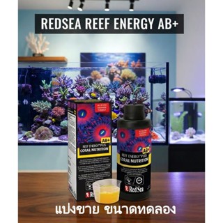 (แบ่งขาย ขนาดทดลอง) REDSEA DipX กำจัดปรสิต * Reef Energy  AB…