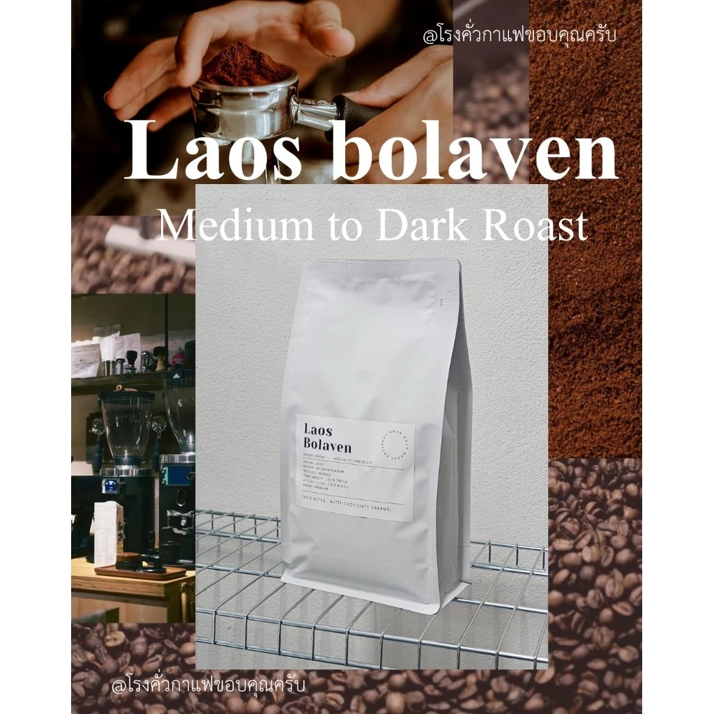 กาแฟลาวโบลาเวน Bolaven, เมล็ดกาแฟคั่วเกรดAA อาราบิก้า คั่วกลางค่อนเข้ม,Premium+,Laos Bolaven Arabica, MediumtoDark Roast