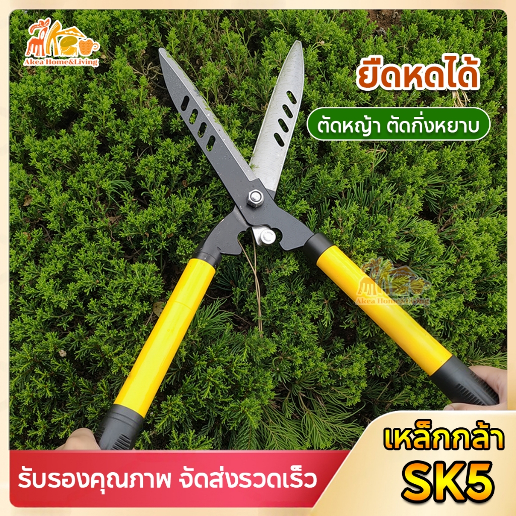 AKEA กรรไกรตัดหญ้า ใบมีดSK5 กรรไกรตัดแต่งพุ่มไม้ ปรับความยาวได้ กรรไกรตัดกิ่ง กรรไกรทำสวน เหล็กทำด้าม ใบมีดคม