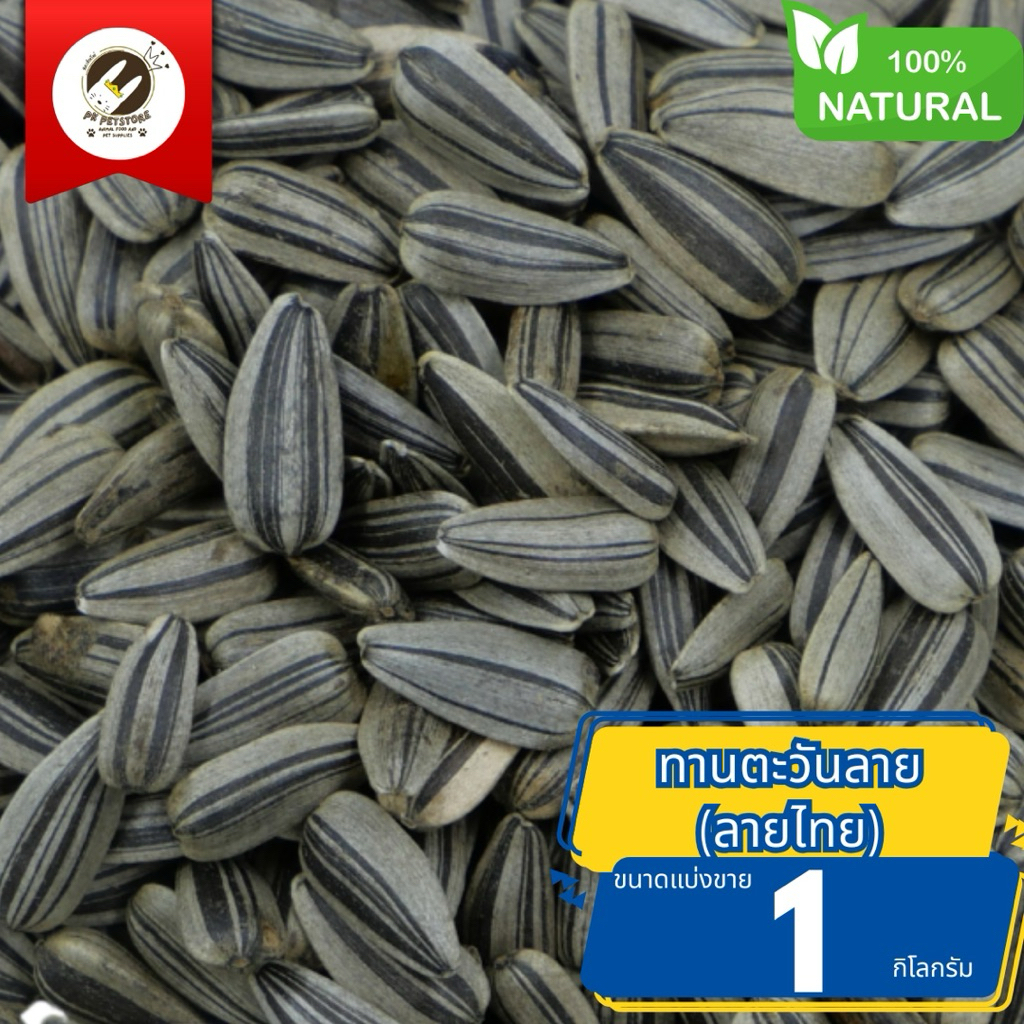 เมล็ดทานตะวันลาย ฮังการี (ลายไทย) ธัญพืช Seed เมล็ด เหมาะสำหรับของนกแก้วขนาดเล็ก-กลาง (เช่น ฟอพัส เลิฟเบิร์ด ค็อกคาเทล)