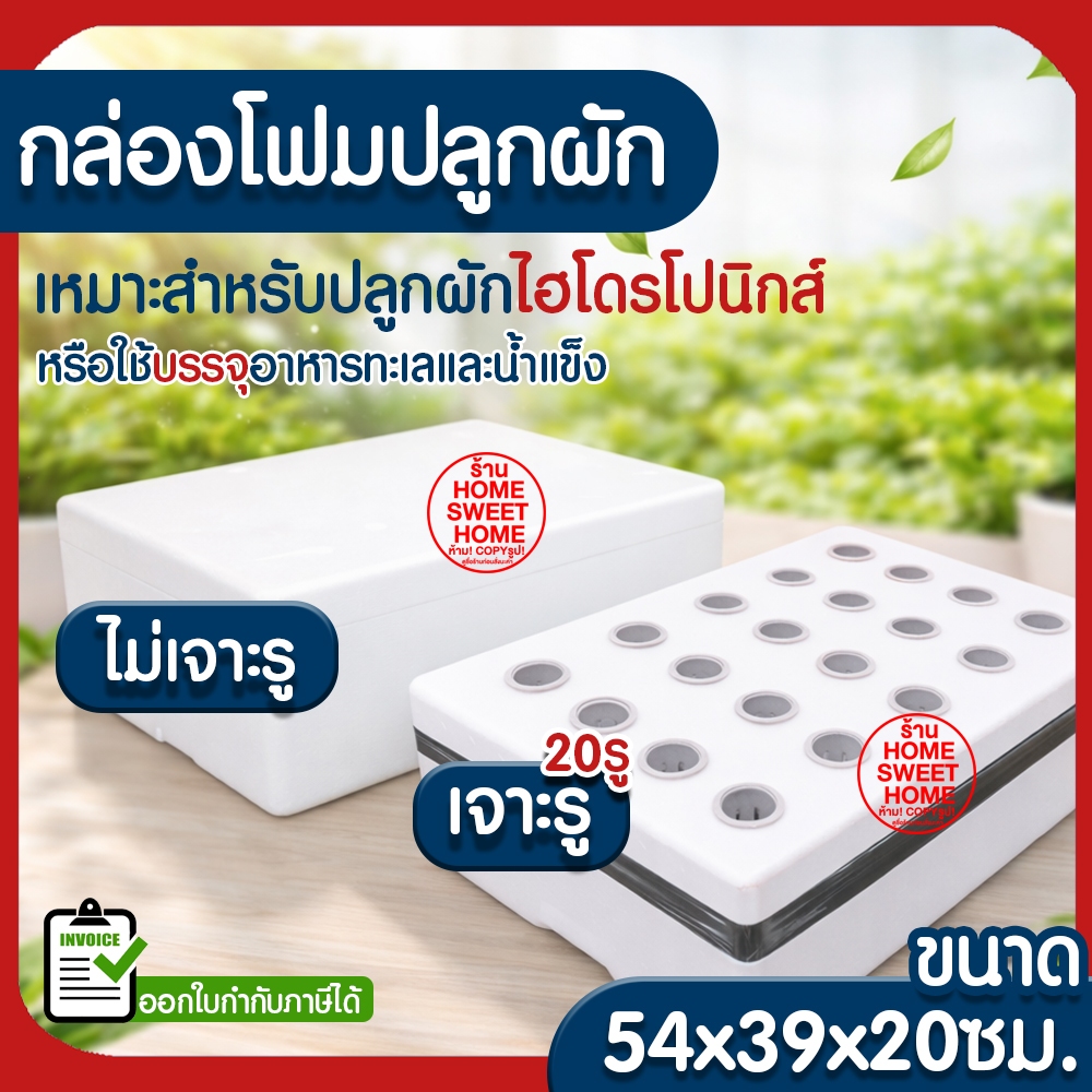 *ค่าส่งถูก* กล่องโฟมปลูกผัก กล่องโฟม ลังโฟม ปลูกผักไฮโดร กล่องใส่กุ้ง กล่องลังโฟม กล่องกุ้ง 10กก. ไฮโดรโปนิกซ์ clearance