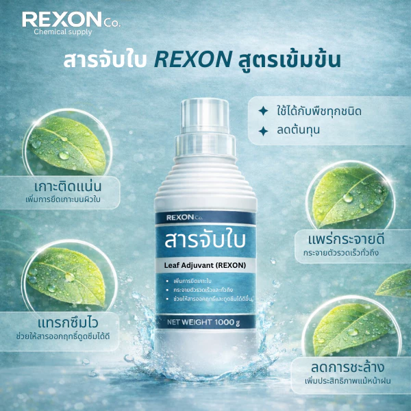 สารจับใบ REXON / Leaf Adjuvant เกรด Premium