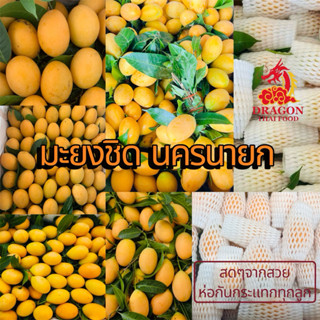 ส่งด่วน🚛 มะยงชิดสายพันธุ์ทูลเกล้า นครนายก เสียเครมได้ ส่งสดใ…