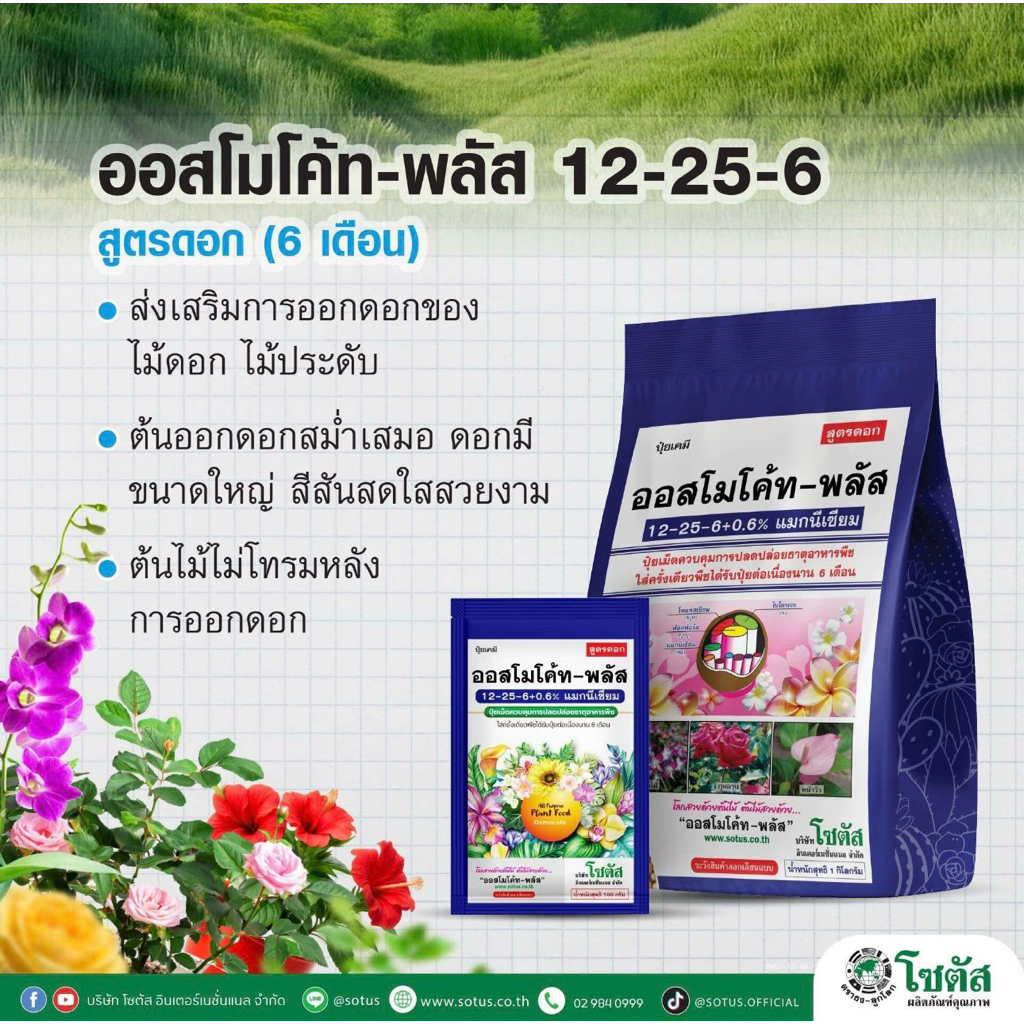 ออสโมโค้ท-พลัส 12-25-6 โซตัส ปุ๋ยละลายช้า อยู่นาน 6เดือน