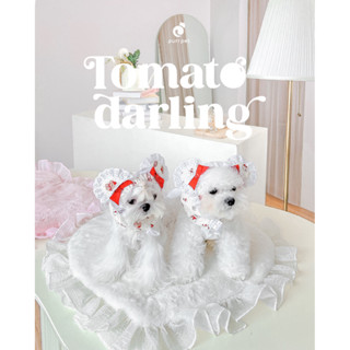 สนูดหูตั้ง & สนูดหูตก Purrpet Snood