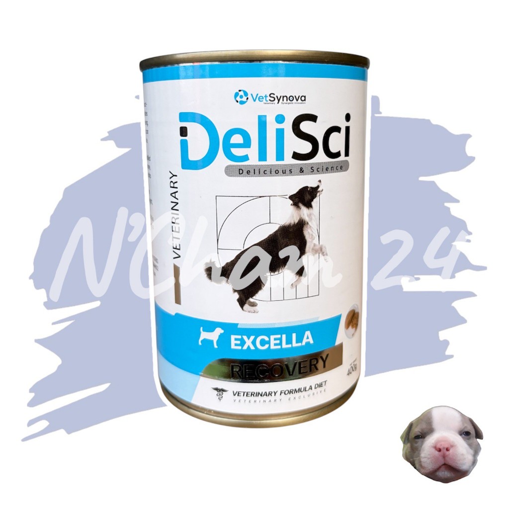 DeliSci Excella for Dogs 400g. จำนวน 1 กระป๋อง อาหารฟื้นฟูสำหรับสุนัขป่วย ขาดสารอาหาร และพักพื้น