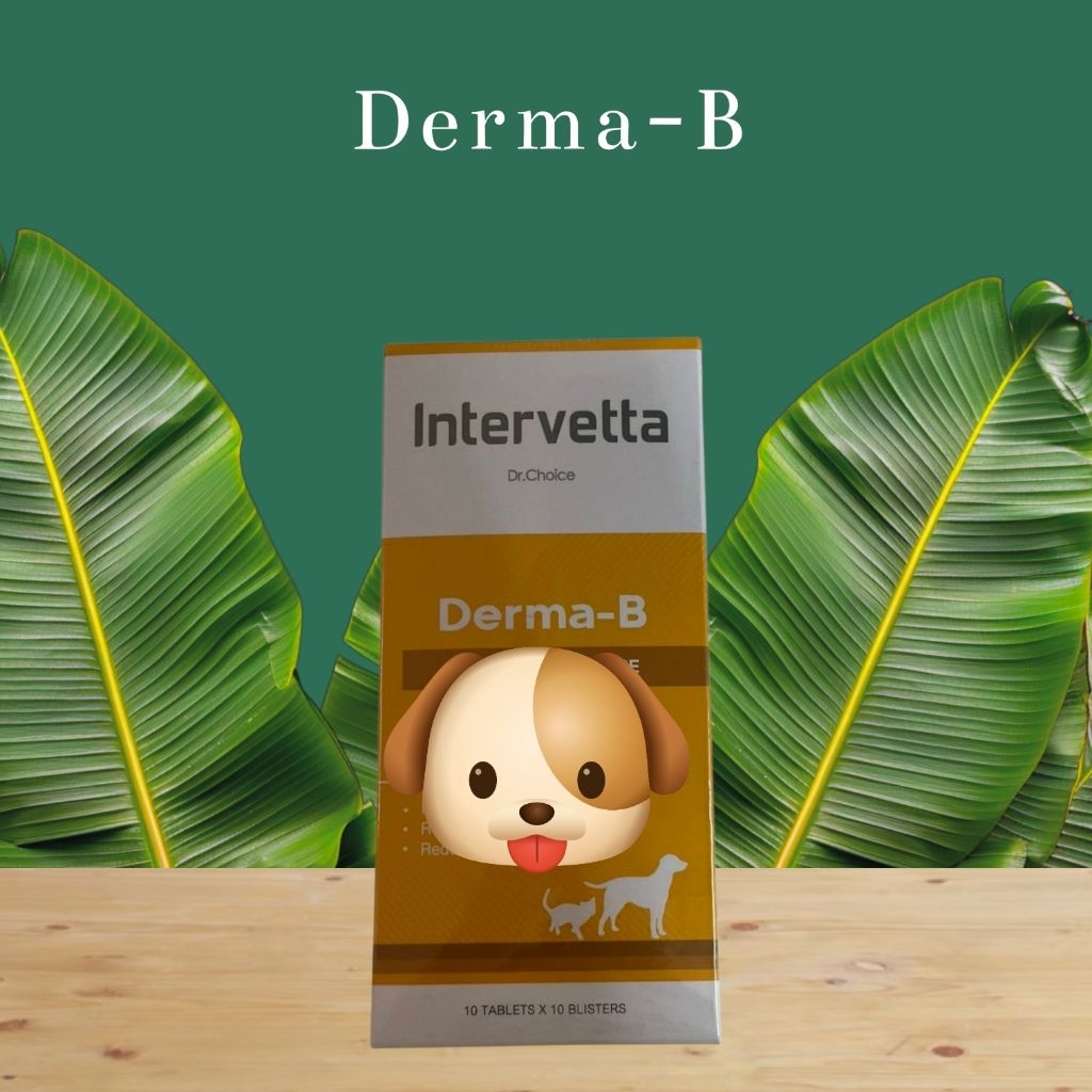 🦮 Derma-B (100 เม็ด) 🐈‍⬛