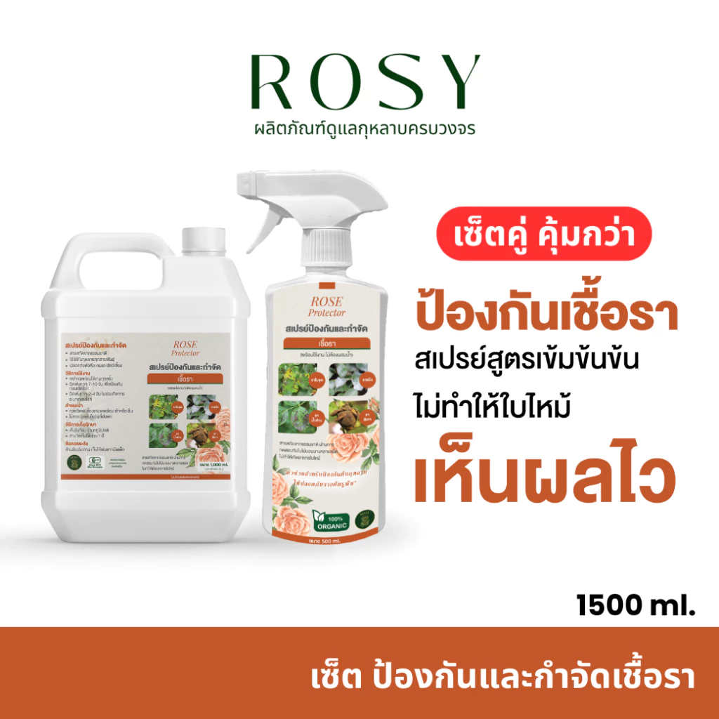 Rosy เซ็ทคู่ป้องกันและกำจัดเชื้อรา [500 + 1000 ML] กุหลาบใบเหลือง มีจุดดำ ราใบจุด ราน้ำค้าง ไม่ทำให้ใบไหม้ สำหรับกุหลาบ