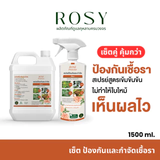 Rosy เซ็ทคู่ป้องกันและกำจัดเชื้อรา [500 + 1000 ML] กุหลาบใบเหลือง มีจุดดำ ราใบจุด ราน้ำค้าง ไม่ทำให้ใบไหม้ สำหรับกุหลาบ
