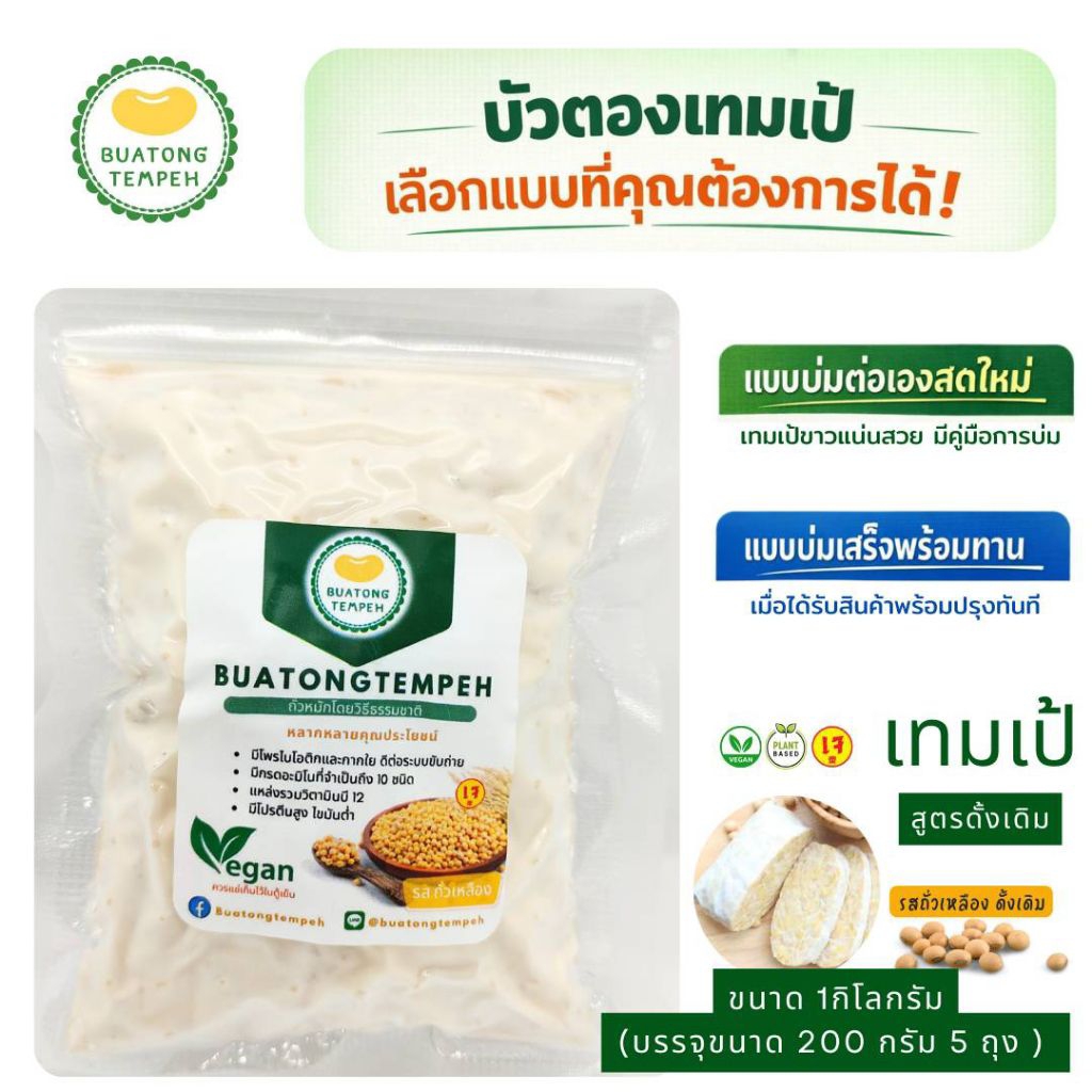 tempeh Fresh original  วีแกน เจ มังสวิรัติ  เทมเป้ สด รสชาติ ดั้งเดิม