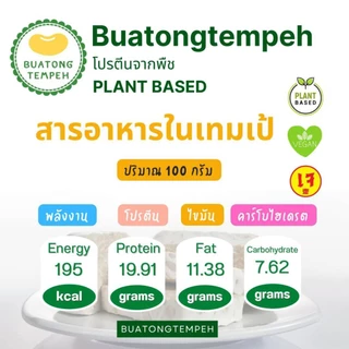 tempeh Fresh original วีแกน เจ มังสวิรัติ เทมเป้ สด รสชาติ ดั้งเดิม