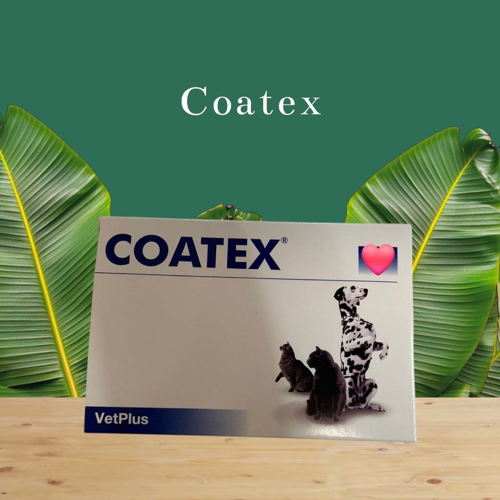 🦮 Coatex (60 แคปซูล) 🐈