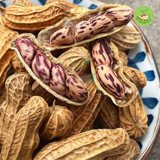 พิเศษ9บาท เมล็ดพันธุ์ถั่วลายเสือ 10 เมล็ด