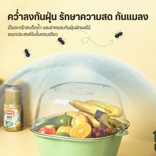 ตะกร้าล้างผัก ผลไม้ ตะกร้าระบายน้ําคู่ มีฝาเปิด ใส่ผักผลไม้กันแมลง พลาสติกตะกร้าท่อระบายน้ํา เขียว/ครีม