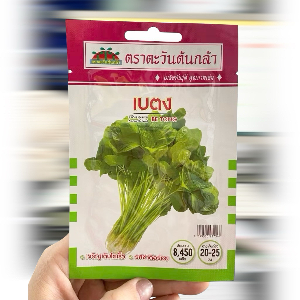 ผักโขมเขียว เบตง ตะวันต้นกล้า