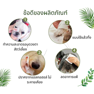 🥇กระดาษเช็ดทำความสะอาดแมวสุนัข ผ้าขนหนูเปียก 120 ตัวที่ใช้ในการเช็ดตาสัตว์เลี้ยงและหูผ้าขนหนูเปียกผ้าขนหนูกระดาษสุนัขผ้า