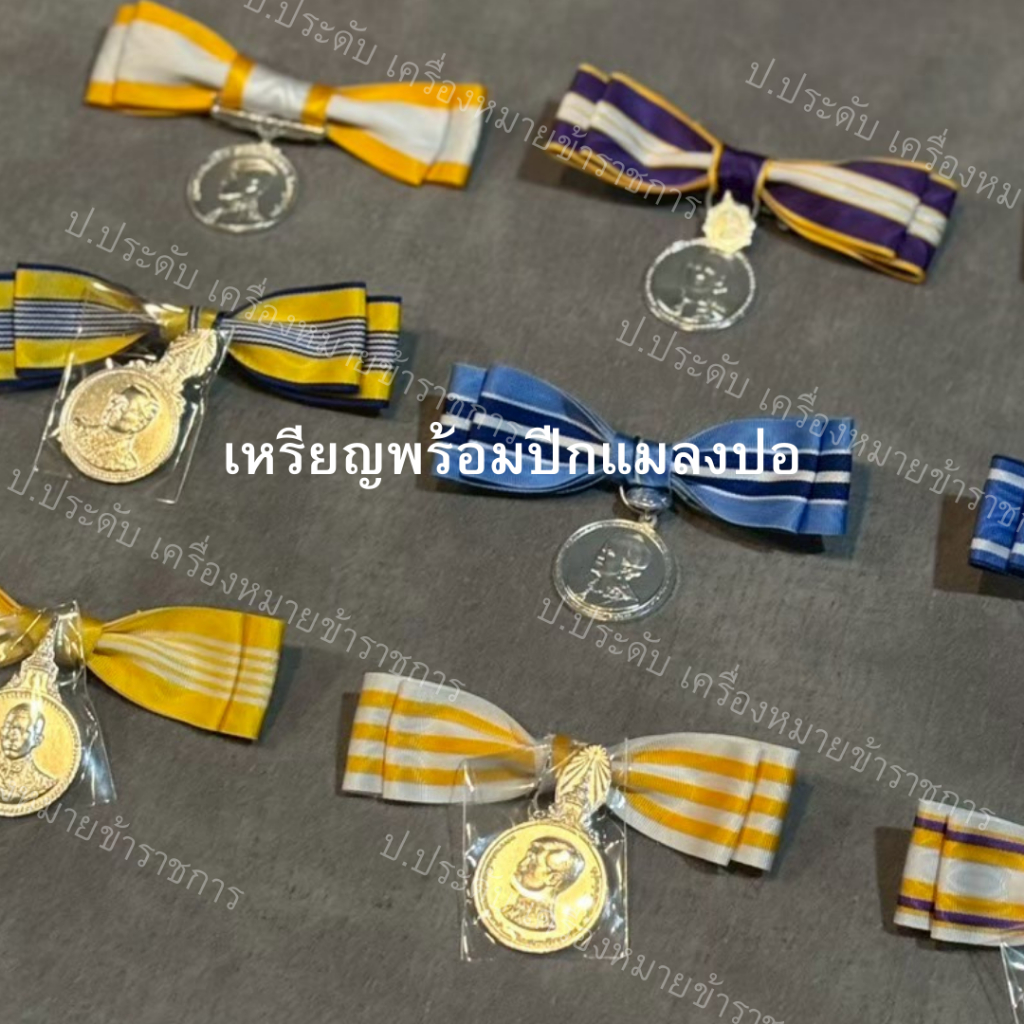 เหรียญที่ระลึก ประดับชุดไทยสตรี ปีกแมลงปอ