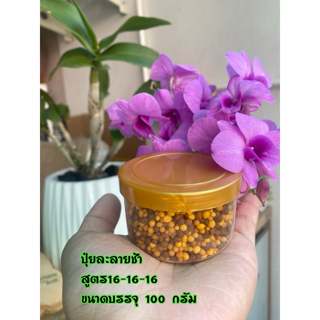 ปุ๋ยกล้วยไม้/ปุ๋ยละลายช้าสูตร16-16-16(แบ่งบรรจุ100กรัม/500กรัม)