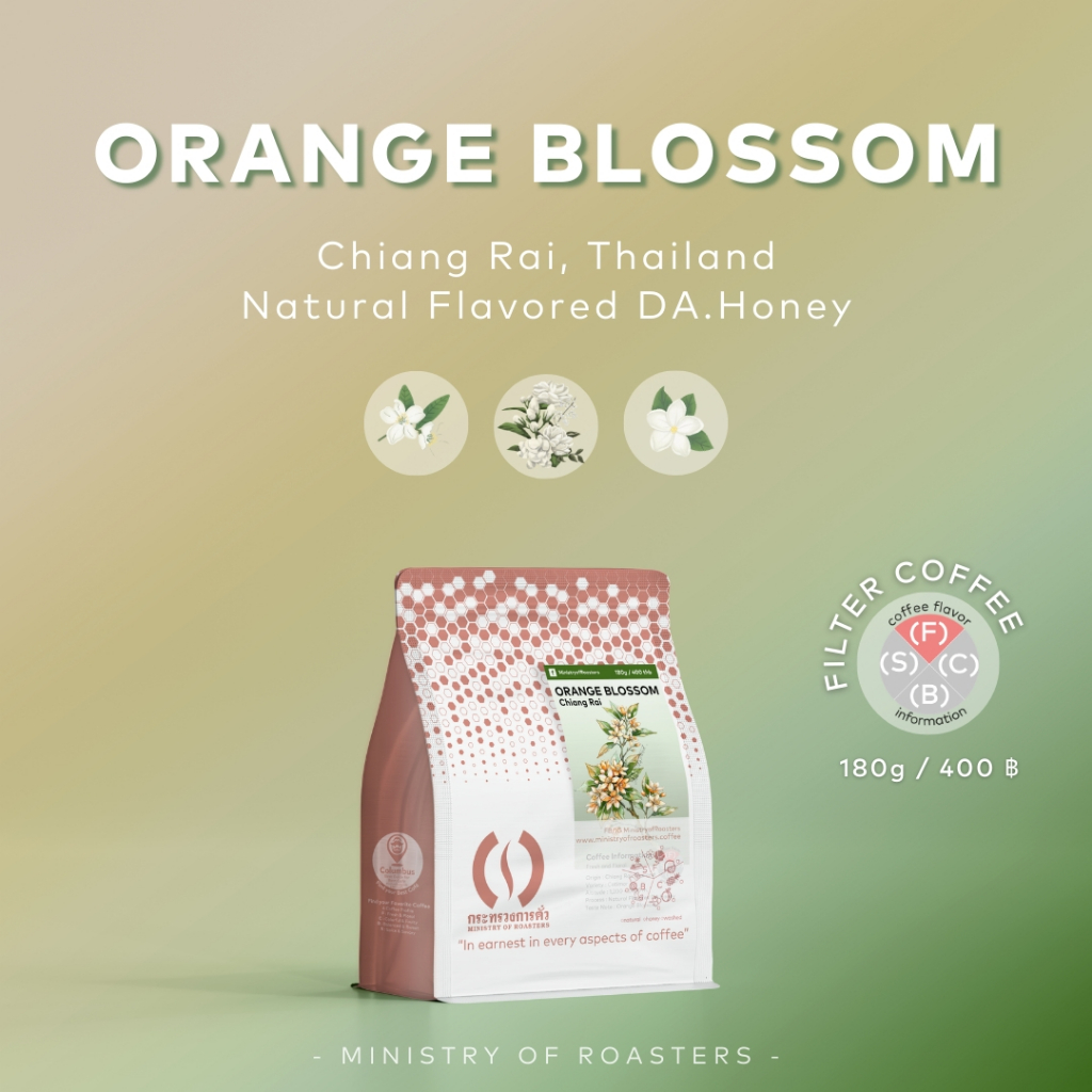 เมล็ดกาแฟไทย เชียงราย Orange Blossom (Chiang Rai, Thailand)