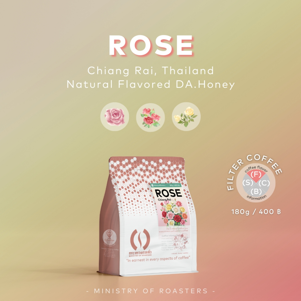 เมล็ดกาแฟไทย เชียงราย Rose (Chiang Rai, Thailand)