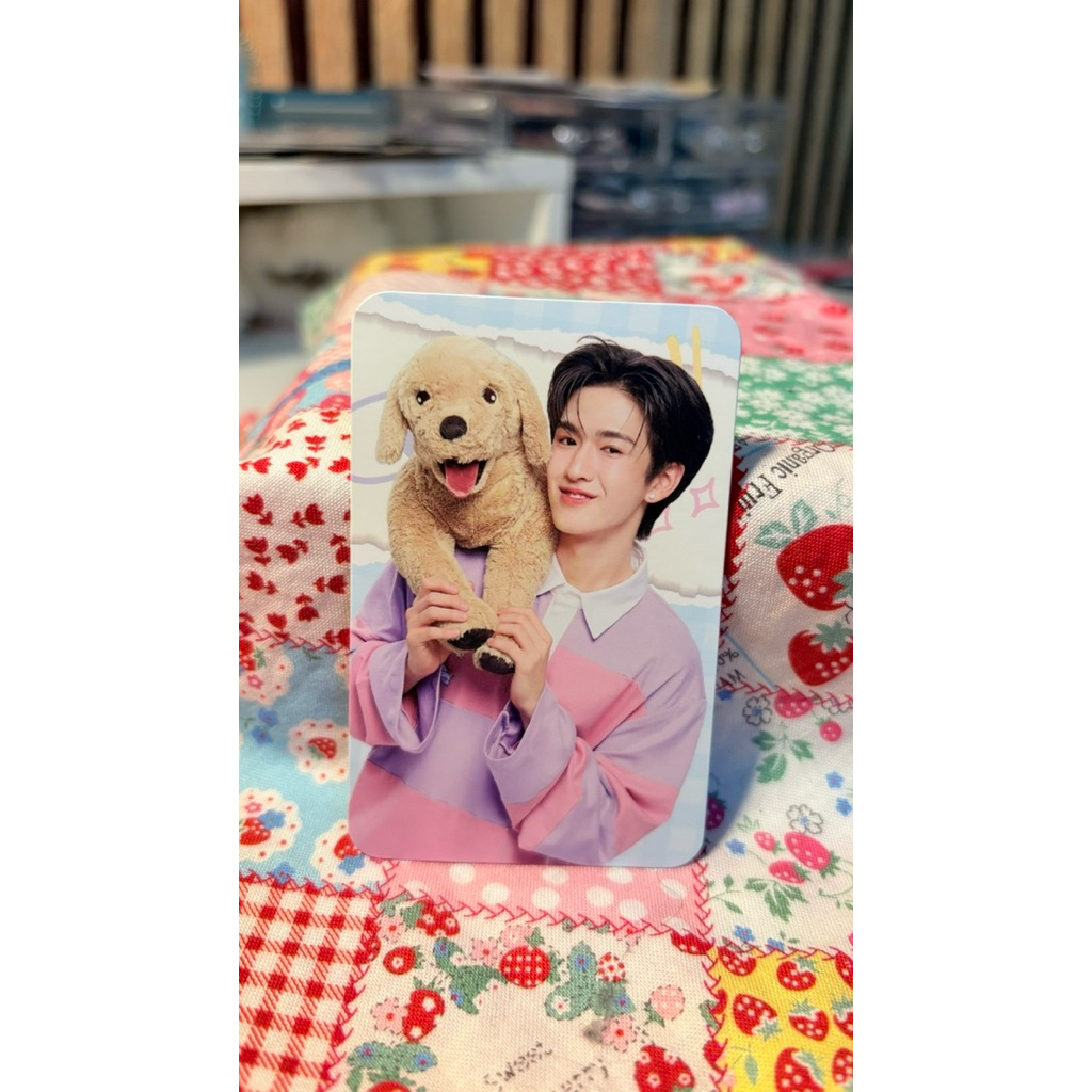 การ์ด fineline x BUS ของแท้ พร้อมส่ง