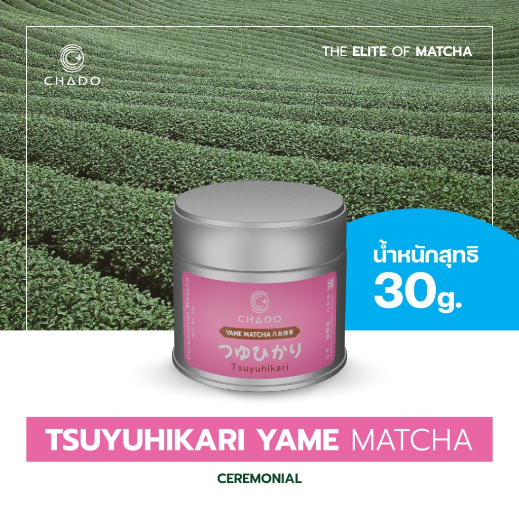 YAME MATCHA TSUYUHIKARI CEREMONIAL มัทฉะ เมืองยาเมะ
