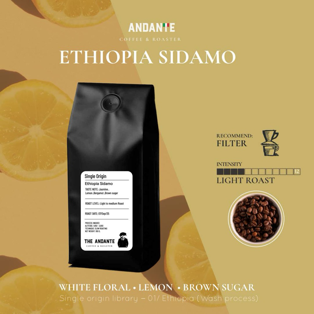 The Andante เมล็ดกาแฟคั่วอ่อน เอธิโอเปีย ซิดาโม Ethiopia Sidamo Refill Bag บรรจุ 500 กรัม