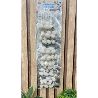 ลูกอมไข่นก ลูกกวาดไข่นก ขนมแผง ขนมโบราณ แผงละ 10 ห่อ