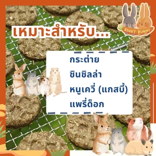 Binky Bunny House คุ้กกี้หญ้าทิโมธี (Timothy Hay Cookie) ขนมอบแห้งลับฟันสำหรับสัตว์ฟันแทะ แพ็คใหญ่