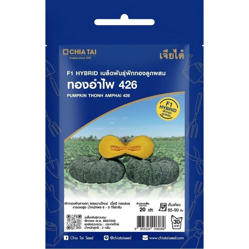 เมล็ดพันธุ์ ฟักทอง ทองอำไพ426 เจียไต๋