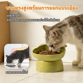 Plendy ชามแมวรูปหมี ชามใส่อาหารสัตว์เลี้ยงพร้อมขาตั้งเอียง ปกป้องคอแมว วัสดุระดับอาหาร 3 สีให้เลือก
