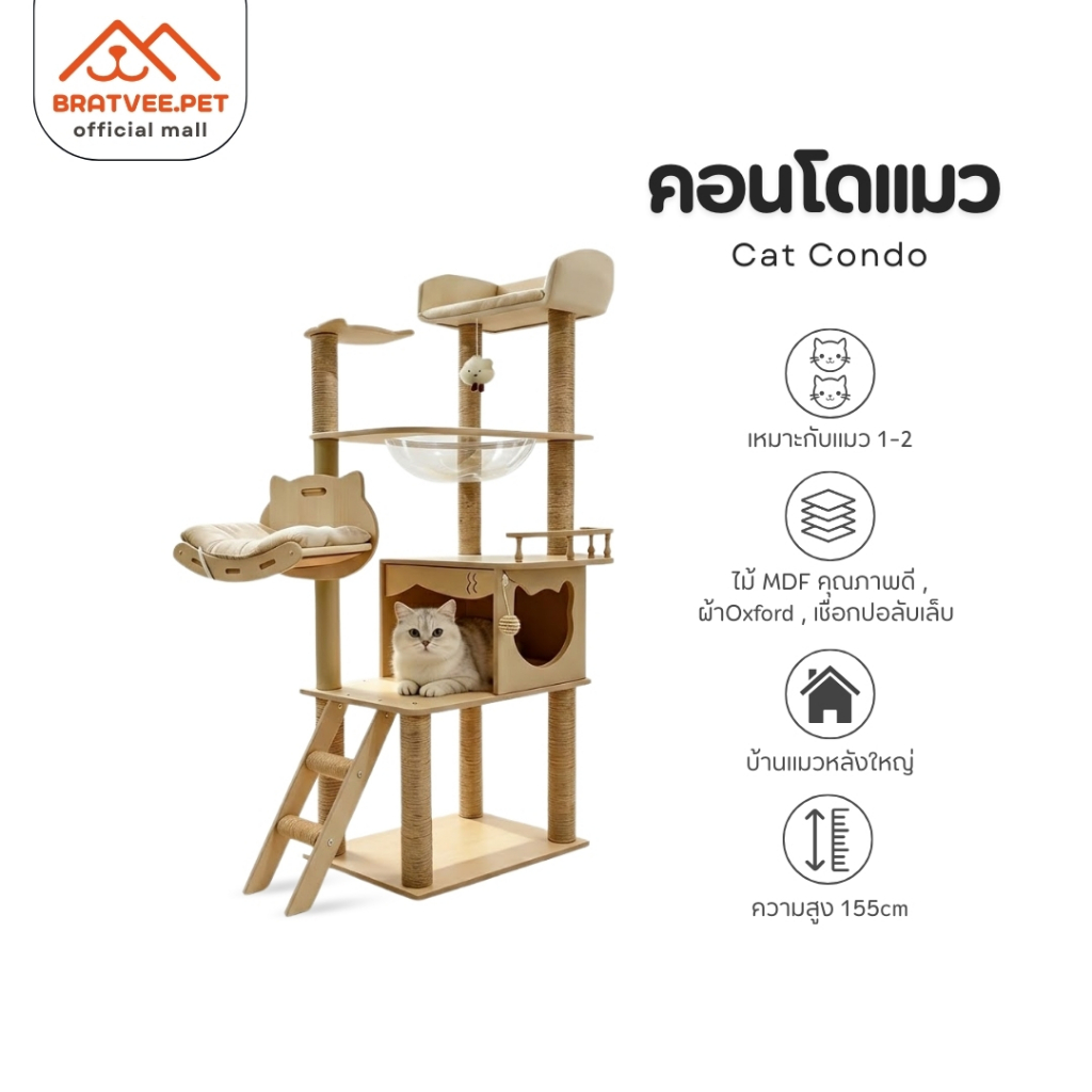 คอนโดแมว สูง 155cm พร้อมหลุมอวกาศใส และเปลนอนนุ่ม รองรับแมวหลายตัว แข็งแรง ทนทาน