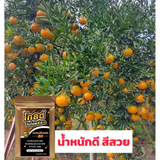 โกลด์ไบโอพลัส สูตรเร่งน้ำหนัก ไซส์จัมโบ้ ระเบิดไซส์ น้ำหนักดี สีสวย