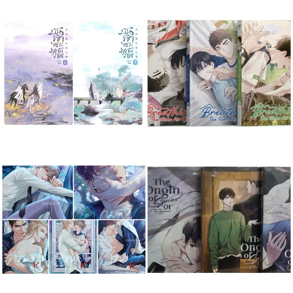 sense ยกชุด ราคาพิเศษ