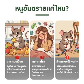 CROWN น้ำยาไล่หนู สเปรย์ไล่หนู ยาฆ่าหนู รวดเร็วมีประสิทธิภาพ ไล่หนู 300ml