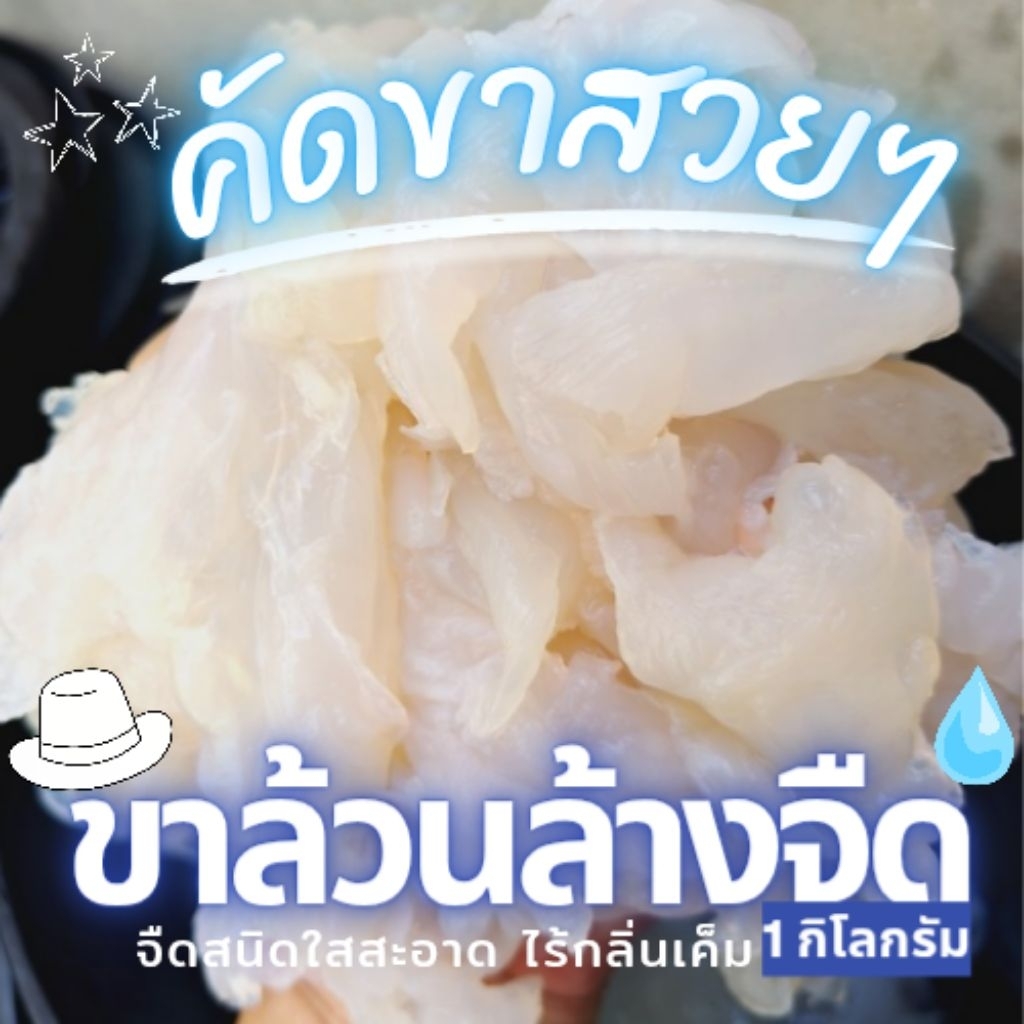 แมงกะพรุนจืด ขาล้วน ผ่าสี่ เกรด A+ คัดเนื้อเน้นๆไม่มีเศษ น้ำหนักสุทธิ 1 กิโล (เนื้อ 1 โล,น้ำ 3 ขีด)