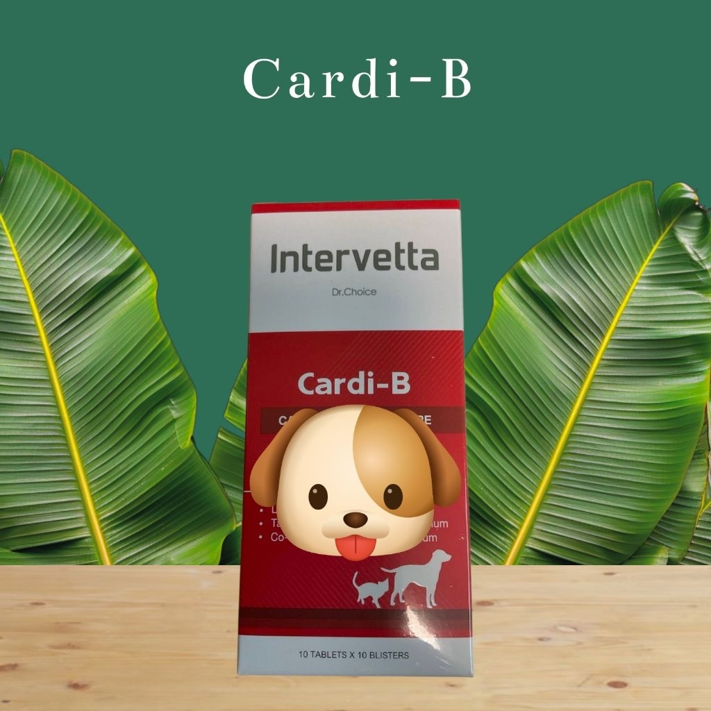 🦮 Cardi-B (100 เม็ด) 🐈