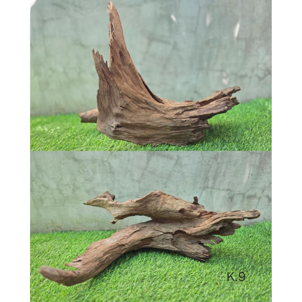 ขอนไม้ธรรมชาติ ตกแต่งตู้ปลา จัดสวน สัตว์เลี้ยง K.9 ย 52 ซม. ก 19 ซม. ส 39 ซม.❗️ขอนใหญ่ 1 ขอนต่อ 1 คำ