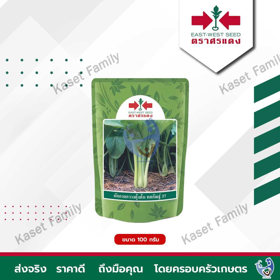 กวางตุ้ง ทศกัณฐ์ 37 บรรจุ 100 กรัม / 500 กรัม เมล็ดกวางตุ้ง ตราศรแดง