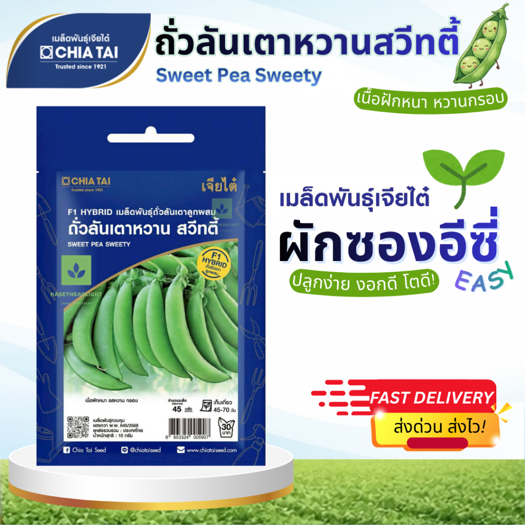 Easy เมล็ดพันธุ์ ถั่วลันเตาหวานสวีทตี้ 45เมล็ด เจียไต๋ Sweet Pea Sweety