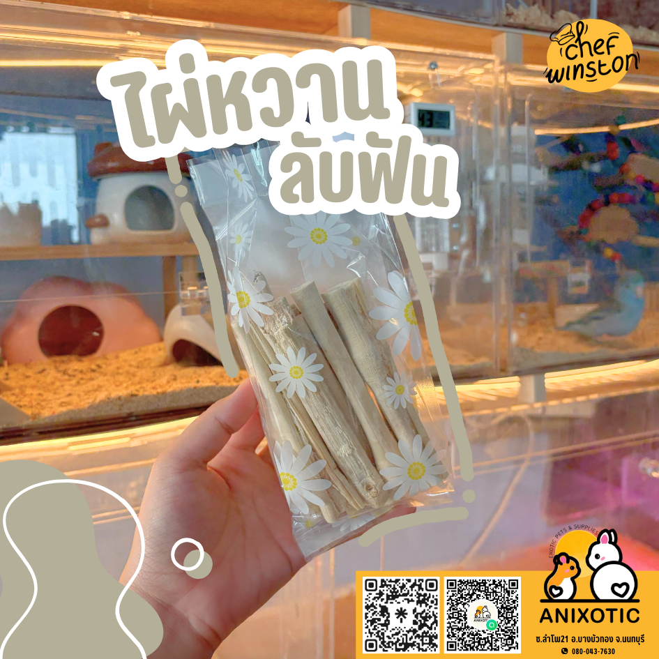 Chef Winston [ไผ่หวาน] ไผ่หวานลับฟัน
