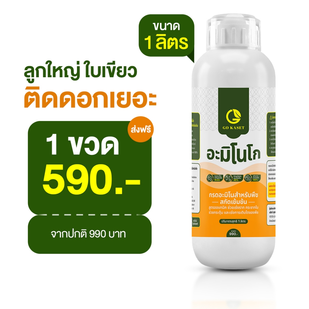 [1ขวด] อะมิโนโก(ขวดใหญ่) 1,000 ML - AMINO GO กรดอะมิโนสำคัญต่อพืช 19 ชนิด ปุ๋ยน้ำ ปุ๋ยกุหลาบ เร่งราก