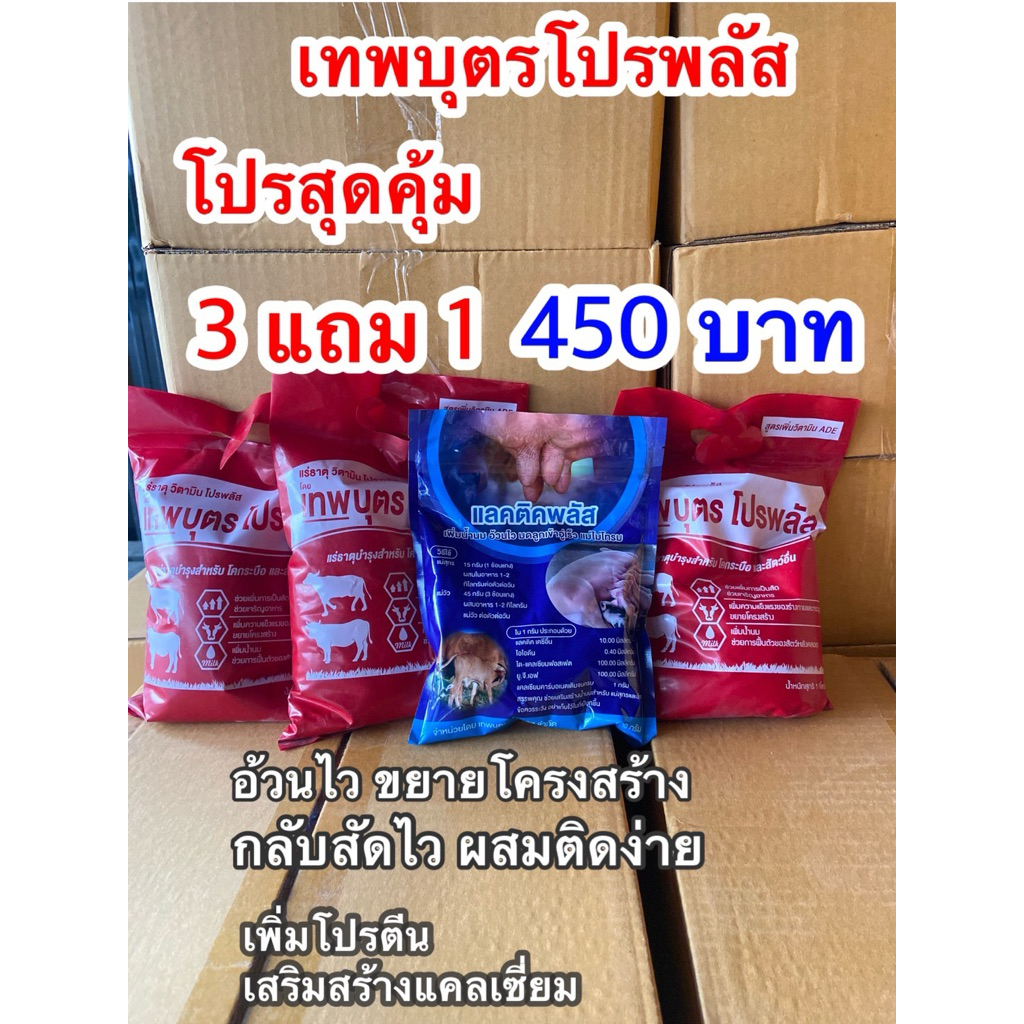 3แถม1 เทพบุตรแถมแลคติก