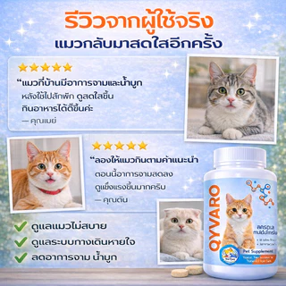 QYVARO อาหารเสริมแมว ดูแลแมวไม่สบาย หวัดแมว จาม น้ำมูกไหล เสริมภูมิแมว บำรุงทางเดินหายใจ